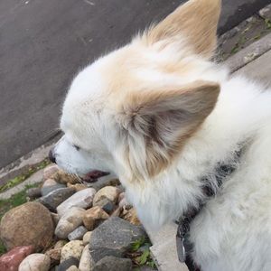 Meet your Posher, Deandre